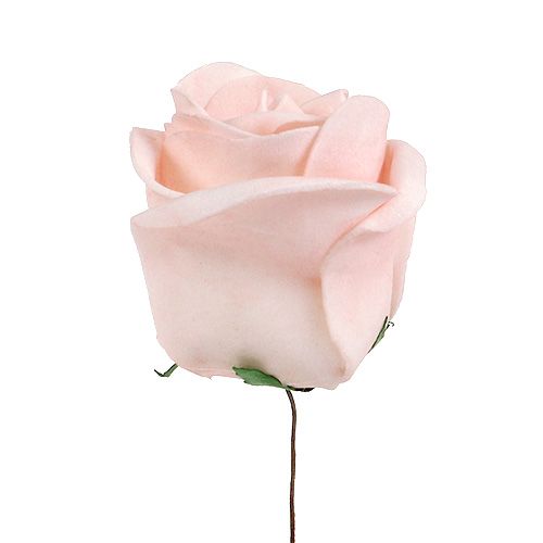 Floristik24 Déco rose mix blanc, rose, crème Ø7.5cm 12p