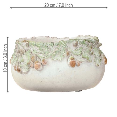 Article Bol décoratif en pierre moulée, bol à plantes en forme de glands, Ø20cm H10cm