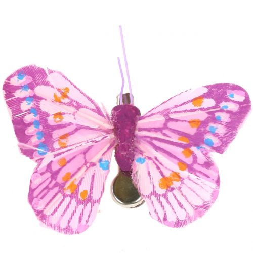 Floristik24 Papillons décoratifs sur le clip, couleurs assorties 6cm 24pcs