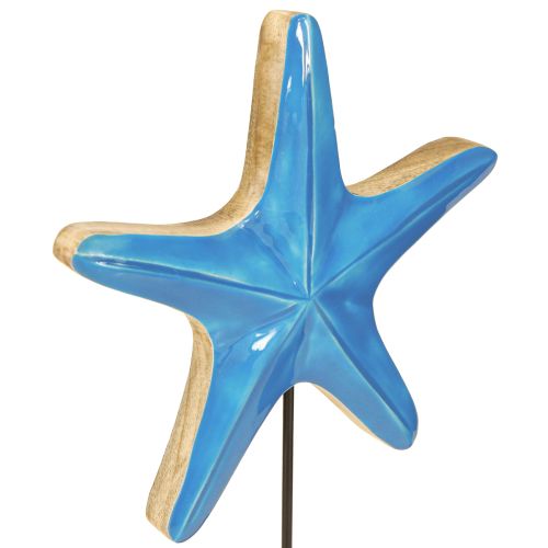 Article Étoile de mer décorative sur socle bois naturel bleu Ø22cm H32cm