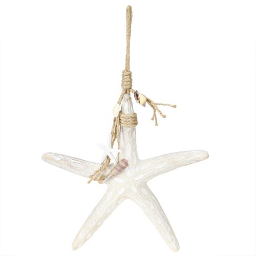 Article Etoile de mer décorative à suspendre Décoration maritime Bois Blanc 30cm
