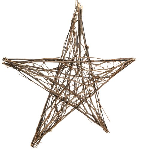 Article Étoile décorative en brindilles de poinsettia à suspendre 60cm
