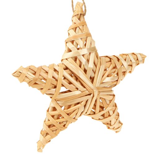 Adventsgesteck A pour Amphore 