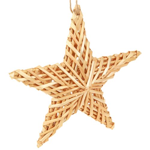 Adventsgesteck A pour Amphore 