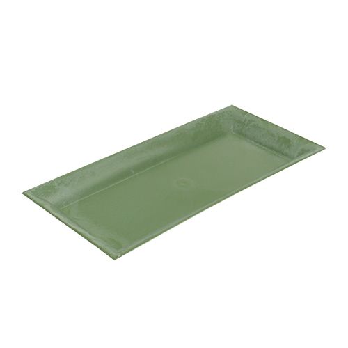 Floristik24 Plateau décoratif vert 28cm x 12cm