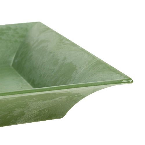 Floristik24 Plateau déco vert 36cm x 17cm