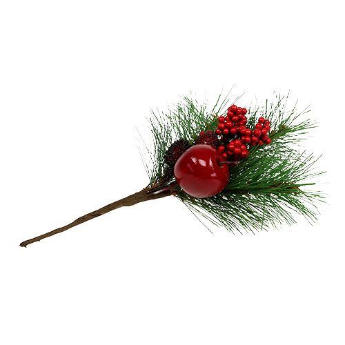 Floristik24 Branche de sapin déco avec pomme 28cm 1p