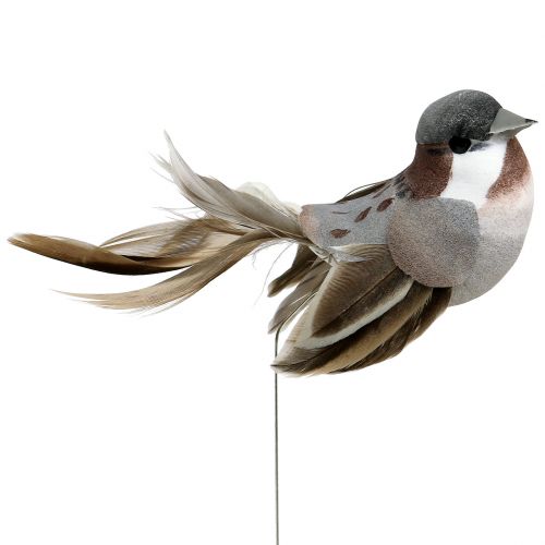 Floristik24 Oiseau décoratif gris, brun 8,5 cm 12 p.