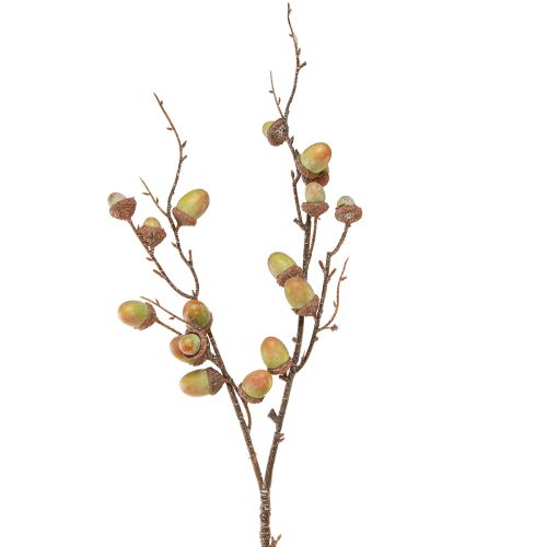 accent couleur A pour Amphore 