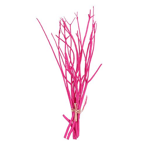 Floristik24 Branches décoratives Mitsumata 45-60cm rose 12 pcs