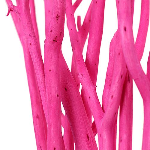 Floristik24 Branches déco Mitsumata 45-60cm rose 12p