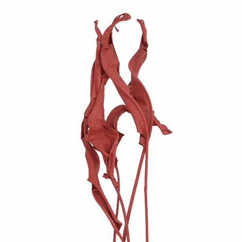 Floristik24 Feuilles décoratives Strelitzia rouge 85-105cm 10 pièces