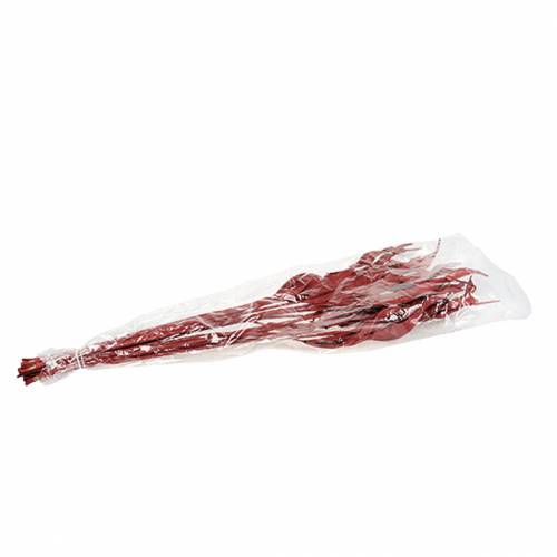 Floristik24 Feuilles décoratives Strelitzia rouge 85-105cm 10 pièces