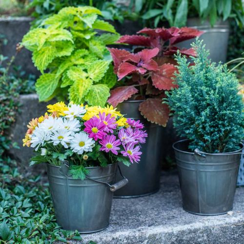 Floristik24 Seau décoratif avec anse, décoration de jardin, cache-pot, récipient en métal Ø16,5 cm H15 cm
