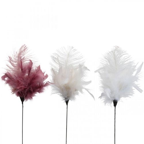 Floristik24 Plumes décoratives sur le bâton plumes d&#39;oiseaux blanc/crème/rose vieux 3 pièces