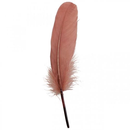 Article Plumes décoratives pour travaux manuels, plumes d'oiseaux véritables vieux rose, 20g
