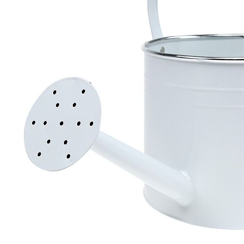 Floristik24 Arrosoir déco blanc Ø17cm H17cm 1p