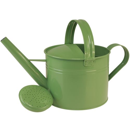 Article Arrosoir décoratif pour plantation menthe métal H26cm 5L