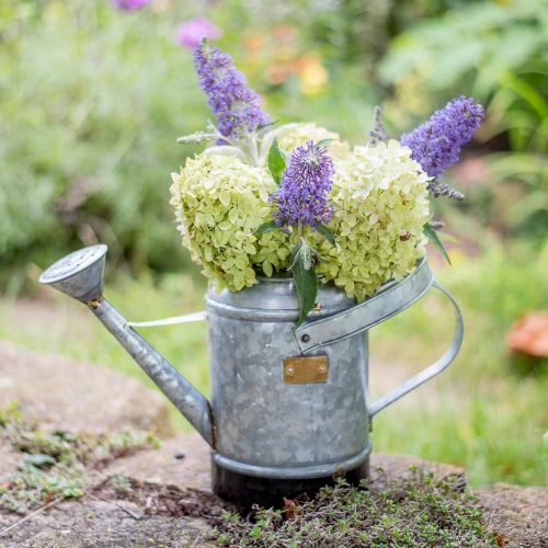 Article Arrosoir décoratif pot de fleurs en métal panier suspendu aspect antique 40 × 18 × 22 cm