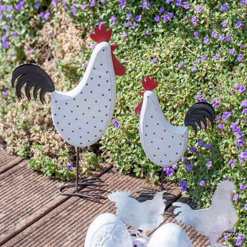 Floristik24 Coq déco bois pointillé blanc figurine décorative Pâques H21cm 2pcs