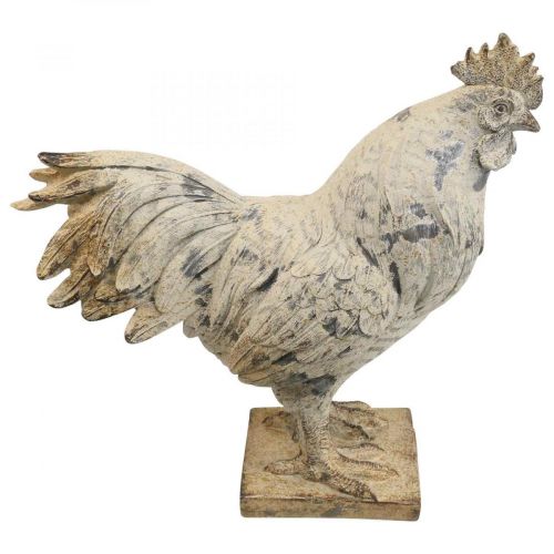 Floristik24 Coq déco pour jardin figurine décorative aspect pierre H26cm
