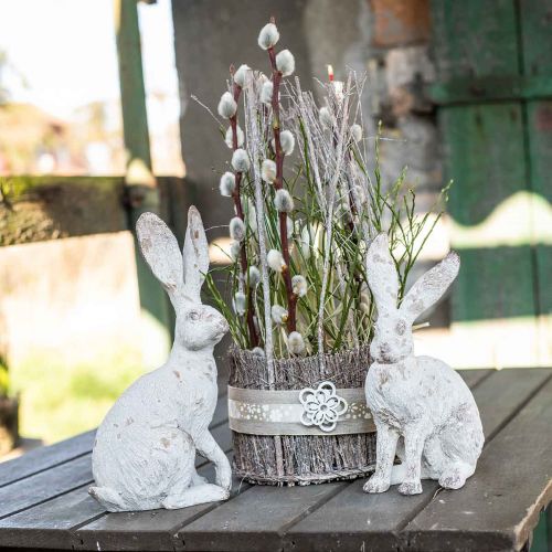 Floristik24 Déco lapin assis déco printemps shabby chic H25cm 2pcs
