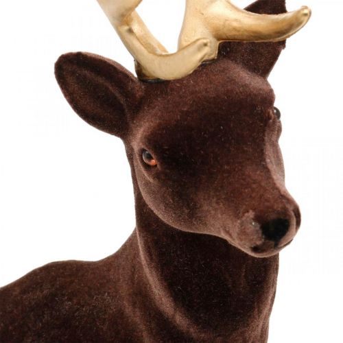 Floristik24 Déco cerf gros marron doré décoration figurine Noël 40cm