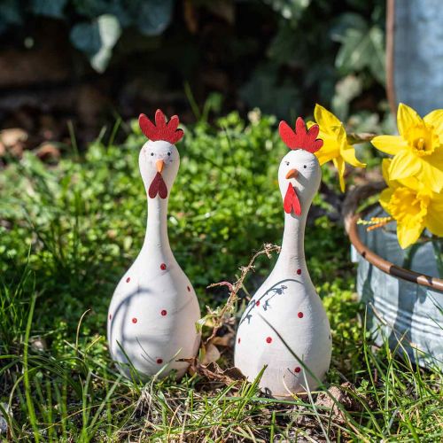 Floristik24 Poule déco en bois blanc à pois Figure de Pâques Ø7cm H20cm
