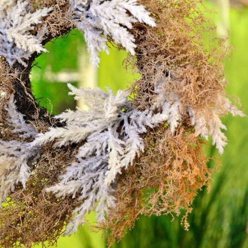 Article Couronne déco herbe de pampa artificielle crème, couronne de porte marron Ø60cm