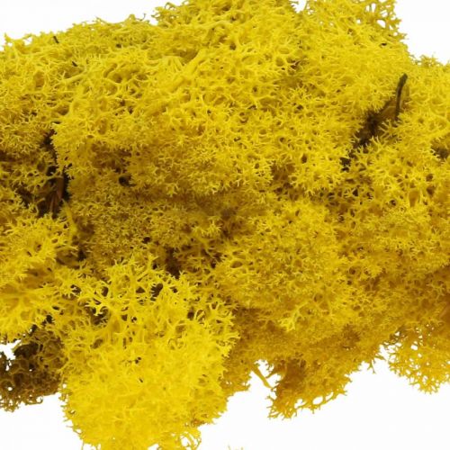 Mousse déco jaune mousse de renne pour artisanat jaune citron 500g