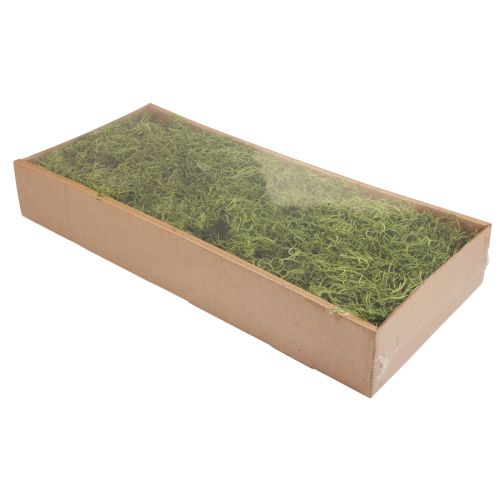 Article Mousse décorative forêt séchée mousse verte décoration naturelle 300g