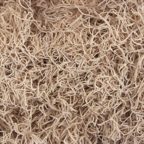 Article Mousse décorative mousse de forêt séchée blanchie décoration naturelle 300g