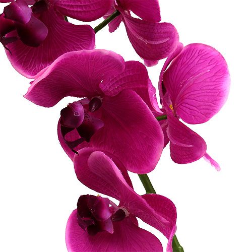 Floristik24 Orchidée décorative fuchsia L 77 cm