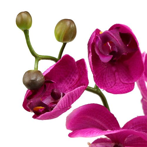 Floristik24 Orchidée décorative fuchsia L 77 cm