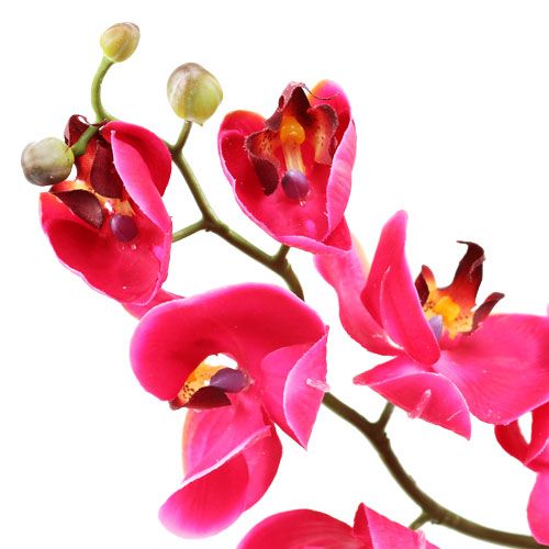 Article Orchidée décorative fuchsia 77 cm