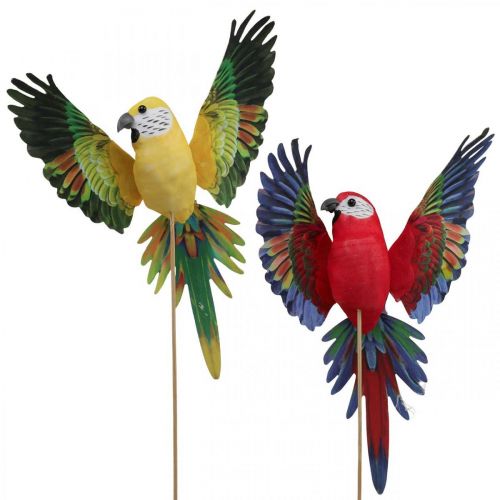 Floristik24 Bouchon fleur oiseau, déco perroquet rouge jaune 28×19cm 2pcs