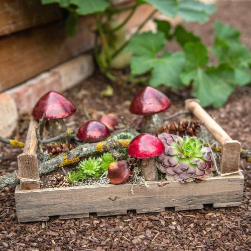 Floristik24 Déco champignons verre rouge décoration automne décoration de table Ø6.5cm H10cm 3pcs