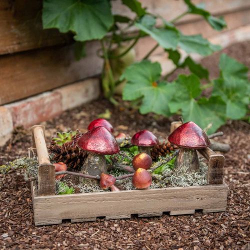 Floristik24 Déco champignons verre rouge vintage décoration automne Ø9cm H13.5cm 2pcs