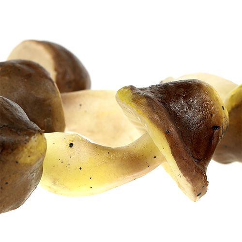 Floristik24 Champignons décoratifs dans le filet 5-8cm assortis. marron 8 pièces
