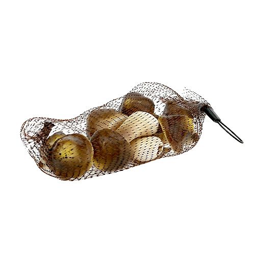 Floristik24 Champignons décoratifs dans le filet 5-8cm assortis. marron 8 pièces