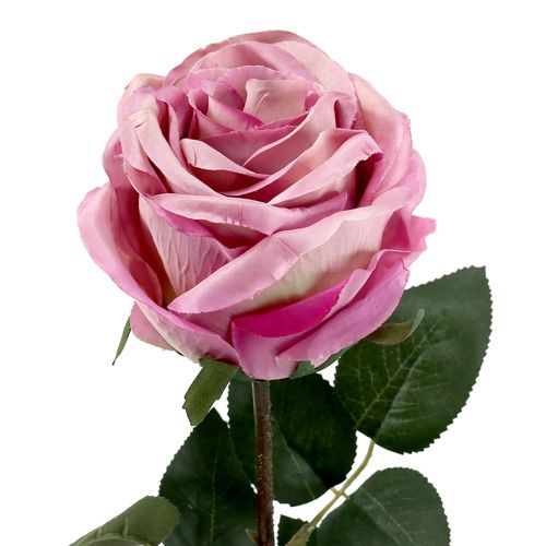 Floristik24 Rose décorative touffue vieux rose Ø 10 cm L 65 cm 3 ex