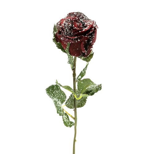 Rose déco rouge neige Ø6cm 6pcs