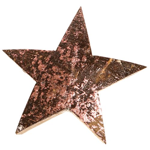 Floristik24 Étoile Décorative Poinsettia Coco Rose Métallisé 5cm 50 pcs