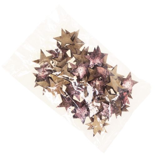 Floristik24 Étoile Décorative Poinsettia Coco Rose Métallisé 5cm 50 pcs