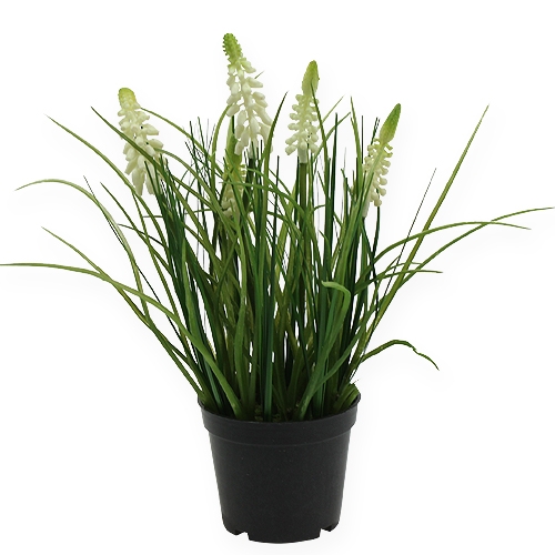 Article Déco crème de muscari en pot 26cm