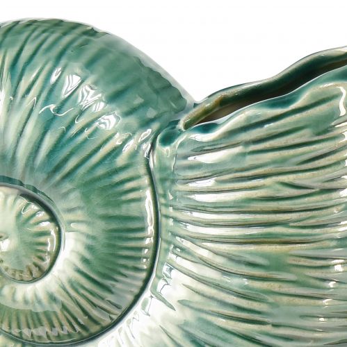 Floristik24 Vase décoratif coquille d&#39;escargot en céramique vert 18x8,5x15,5cm