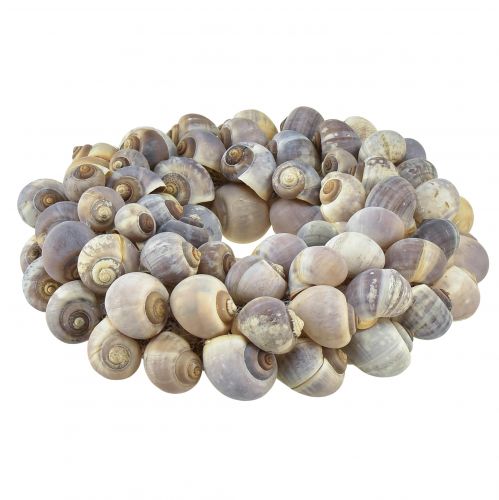 Floristik24 Couronne d&#39;escargots maritimes décorative à suspendre escargots de mer Ø25cm