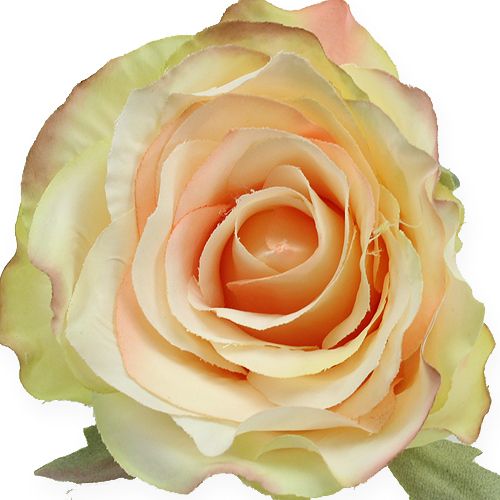 Article Têtes de roses artificielles Ø9cm 6pcs