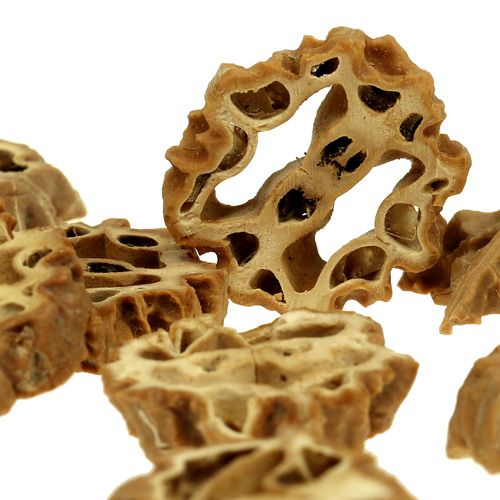 Floristik24 Tranches de noix 2 cm nature 250 g