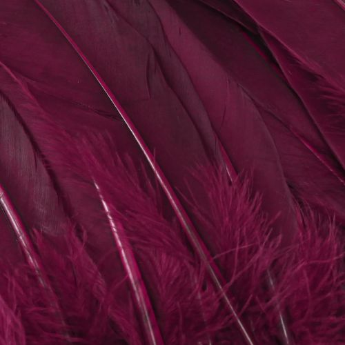 Article Plumes décoratives plumes d&#39;oie bordeaux fournitures artisanales 20g x 2 pièces